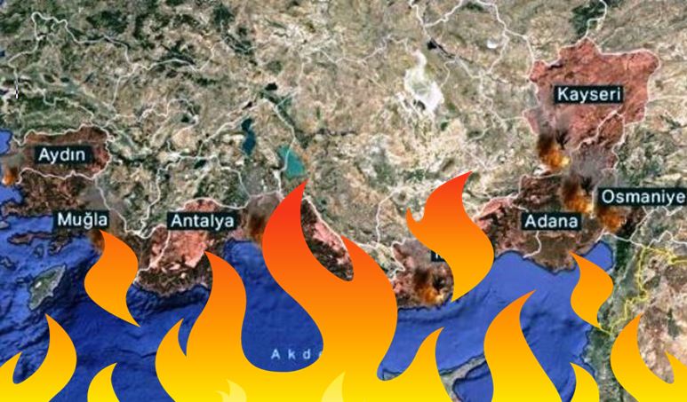 Türkiye'de Orman Yangınlarında En Son Gelişmeler